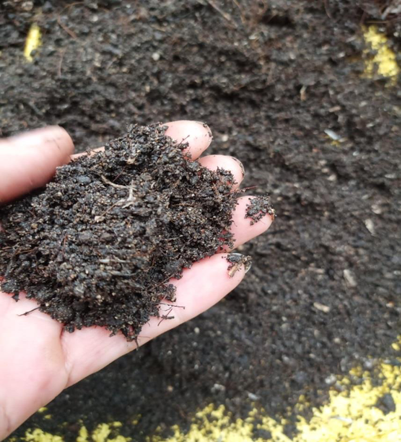 TÁC DỤNG LẠ CỦA LÔNG GIA CẦM