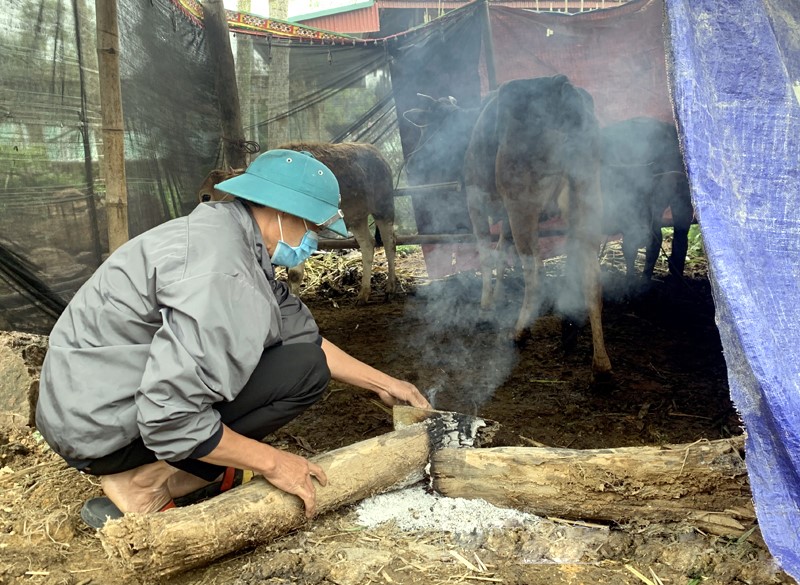 suoi am cho vat nuoi