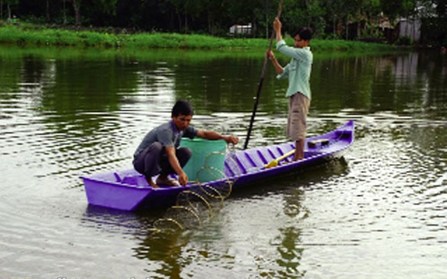 tao-doc-trong-nuoi-tom