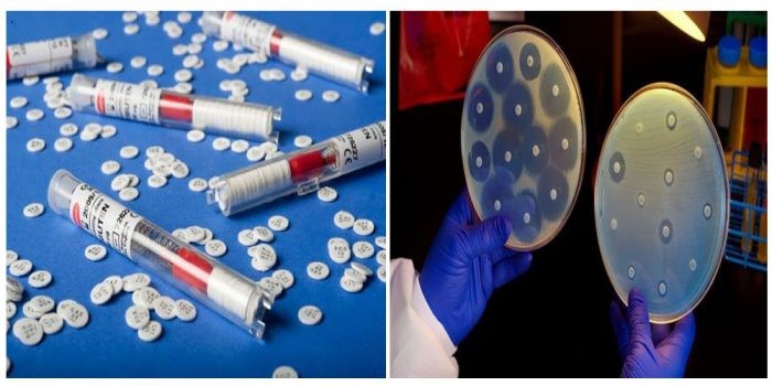 test-khang-khang-sinh-e1637199838619