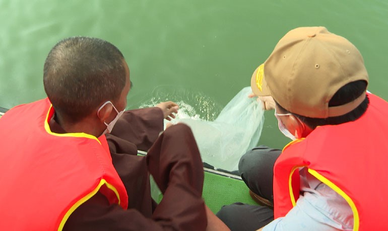 tha-con-giong-tom-su