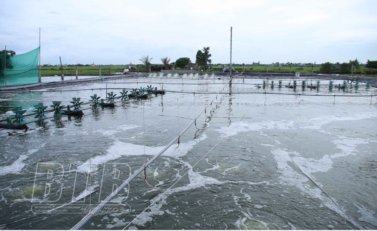 thechantrang_10110320092021