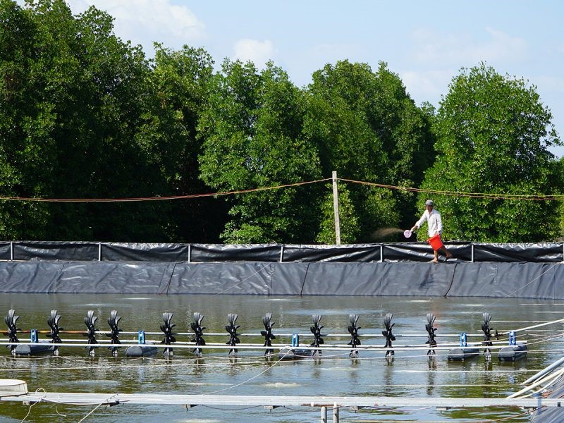 thieu-von-dau-tu-e1648881041737