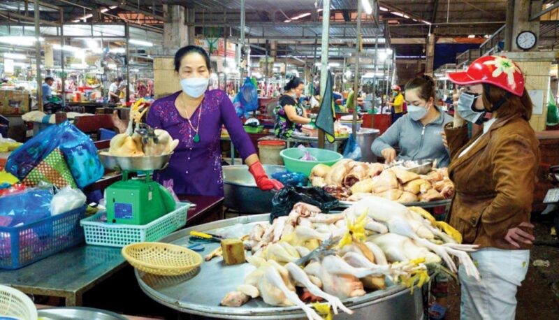 thit-vit-e1645146924768