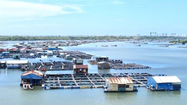 thuy-san-long-be-tren-Cha-Va