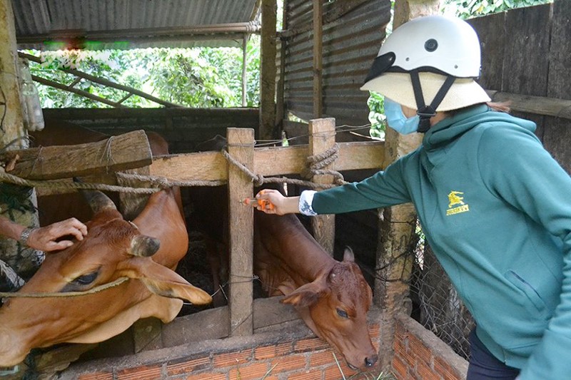 tiem-vac-xin-viem-da-noi-cuc