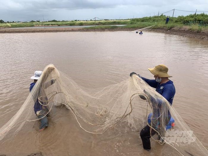 tiet-kiem-chi-phi-dau-vao