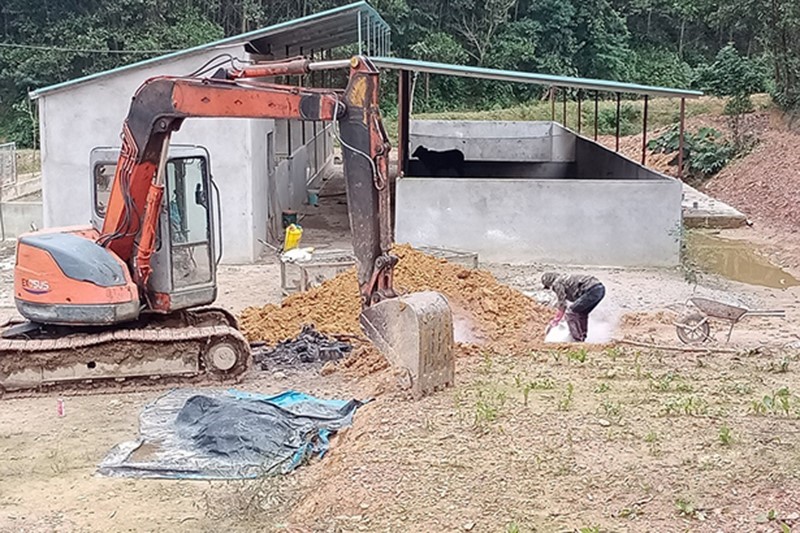 tieu-huy-lon-ha-tinh-2212