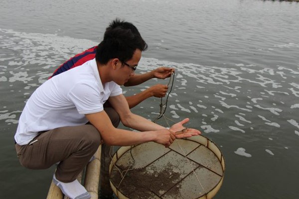 tinh-hinh-dich-benh-tom-nam-2020-1-e1609728951468_1_1