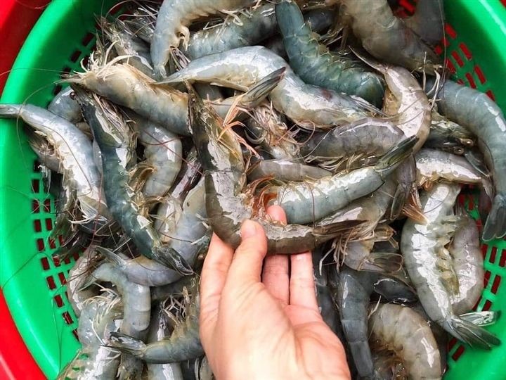 Từ năm 2022, Trung Quốc giảm thuế nhập khẩu nhiều loại thủy sản