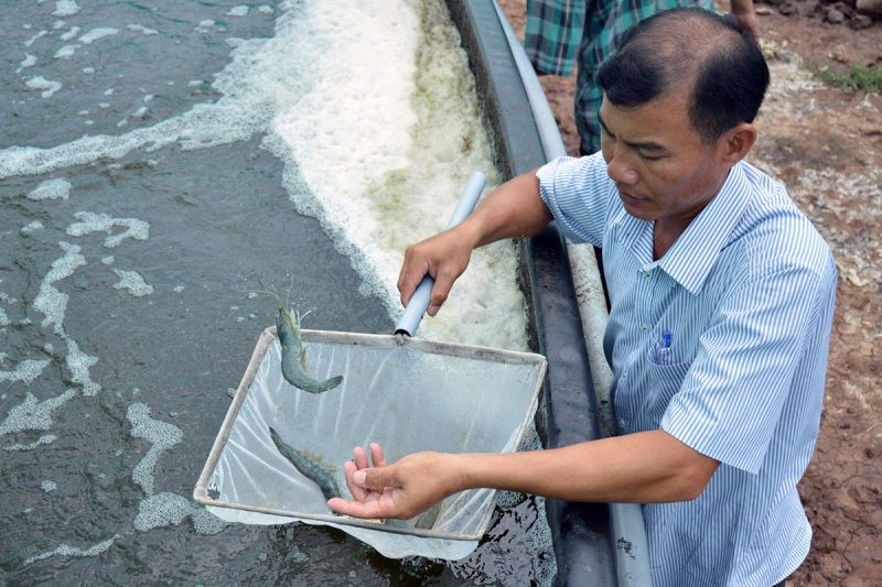 tom-bac-lieu-e1642824953958