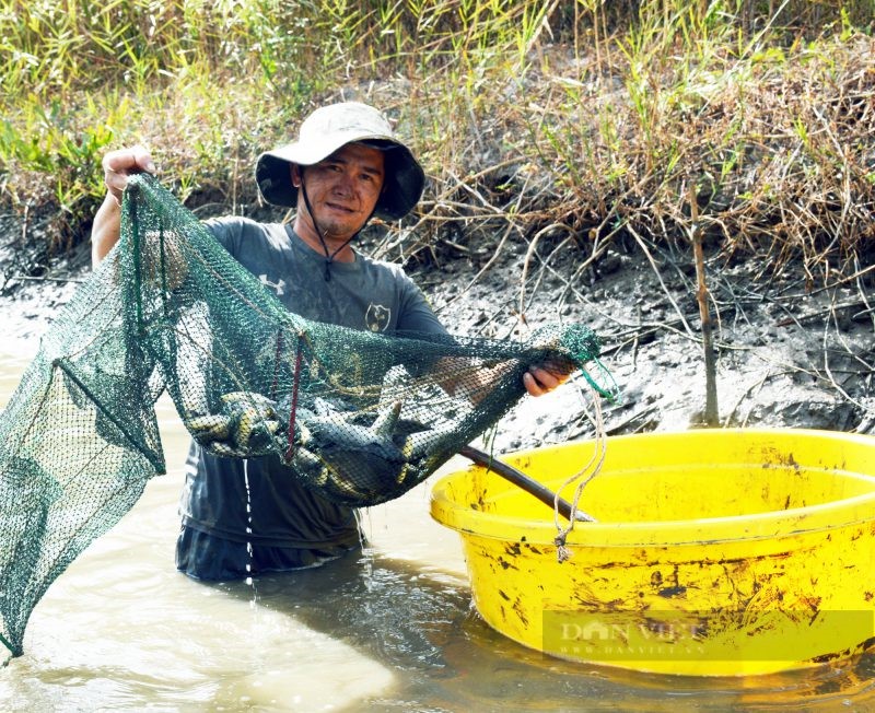 tom-ca-mau-e1640760412149