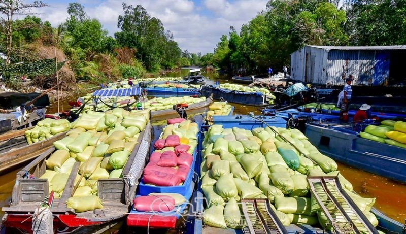 tom-lua-e1631788358468