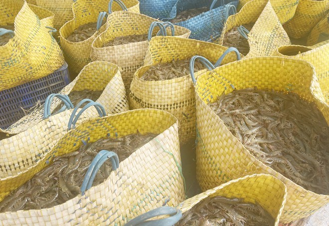 tom-the-chan-trang-tai-soc-trang