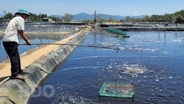 tom-vu-1-nam-2021-e1640826876273