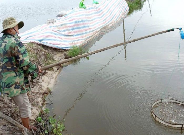 tom-vu-3-e1637394339550