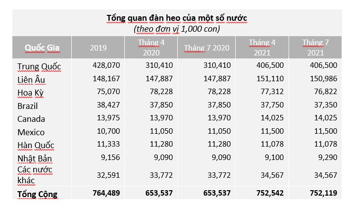 tong-dan-heo-nuoc-ta