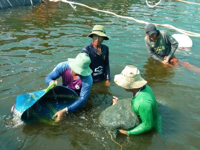 tong-san-luong-thuy-hai-san-dat-337400-tan