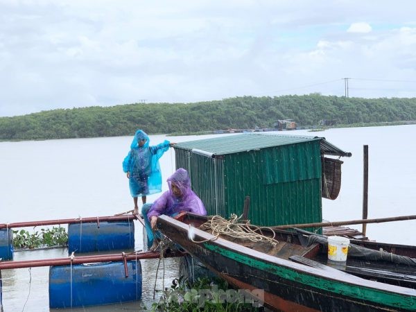 tp-anh-ca-7-3378-e1631251299147