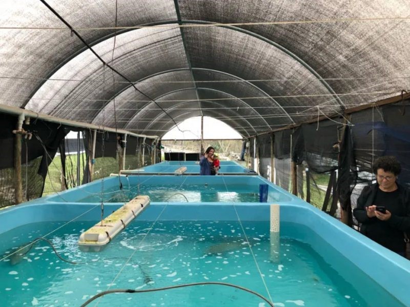 trai-giong-2-e1649467395333