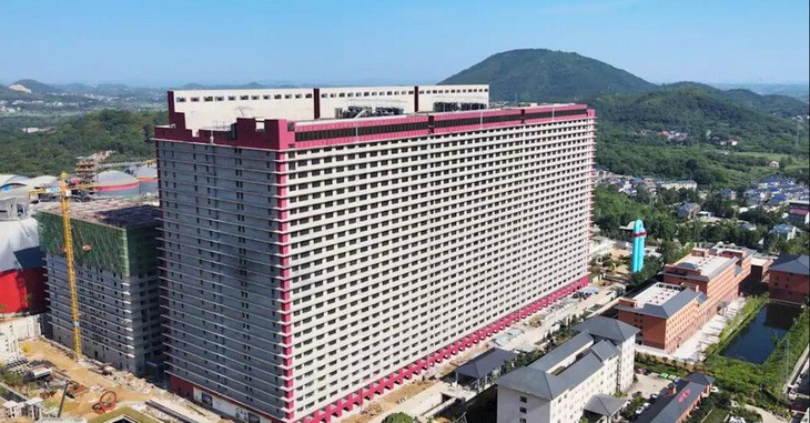 trang-trai-nuoi-heo-26-tang