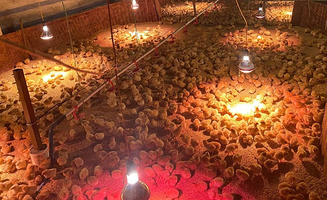 um-ga-1-16249628086231498417846