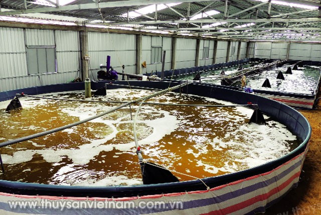 uong-tom-mat-do-sieu-cao-raceway-00