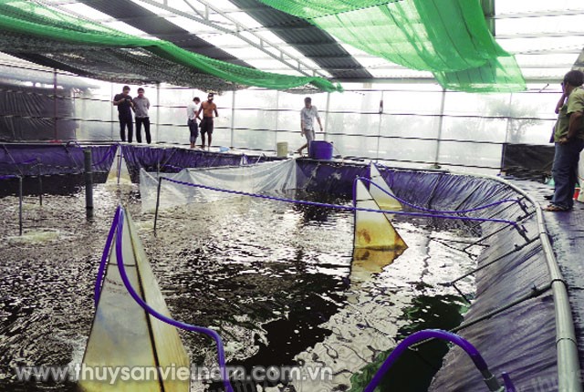 uong-tom-mat-do-sieu-cao-raceway-01