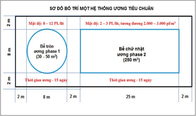 uong-tom-mat-do-sieu-cao-raceway-03