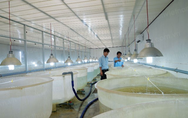 uong-tom-sieu-tham-canh