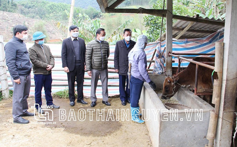 Thái Nguyên: Phòng bệnh cho vật nuôi lúc giao mùa