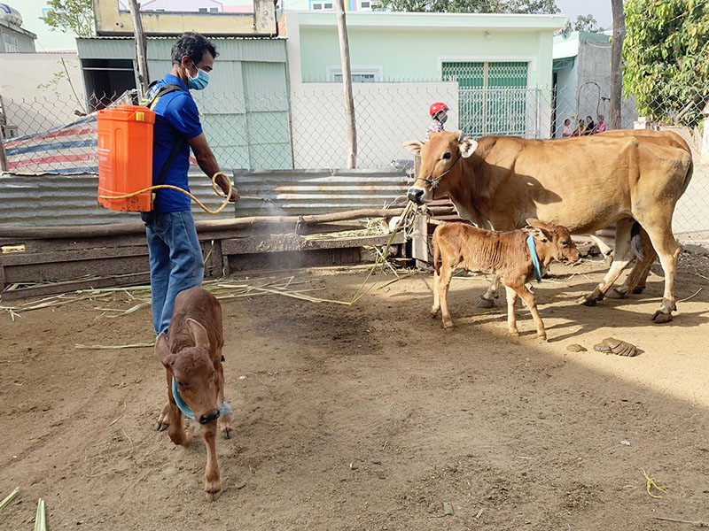 viem da noi cuc gia lai