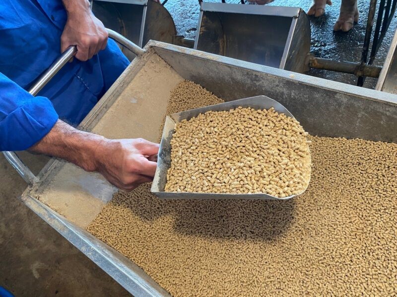 viet-nam-la-thi-truong-tiem-nang-san-xuat-tacn-e1643301520537