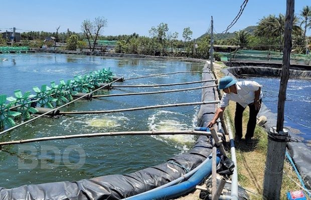 viewimage-e1642133699194