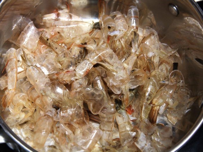 vo-tom-e1637225919618