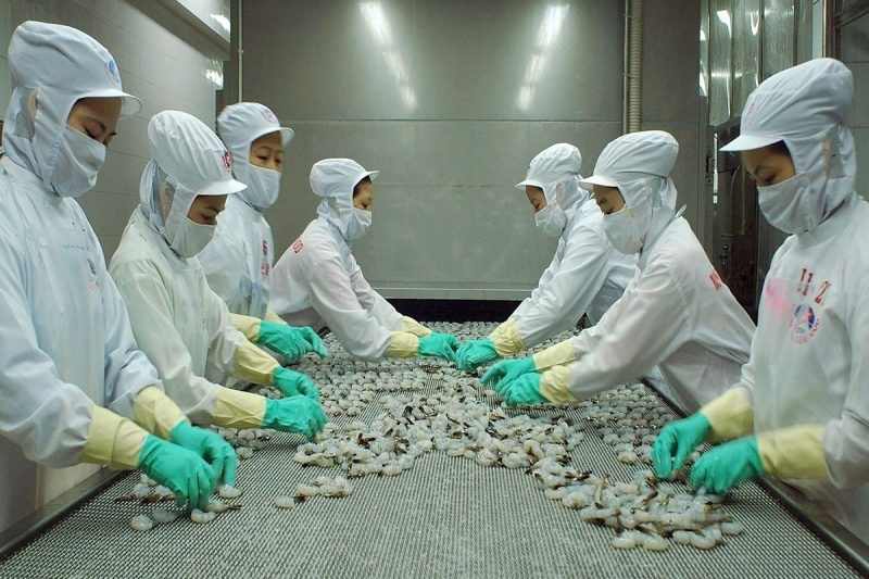 xk-ts-e1638513092371