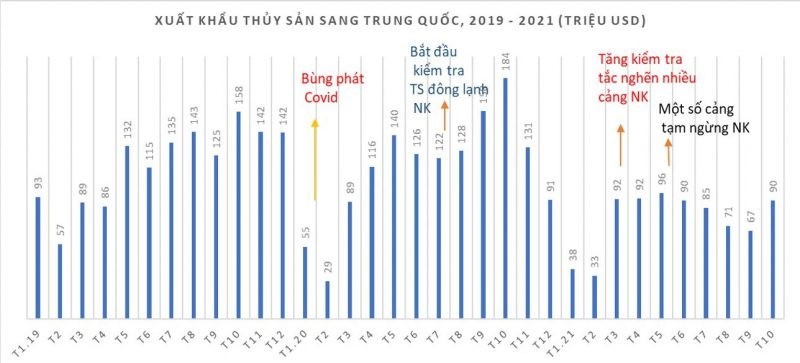 xkts-sang-tq-e1637025861414
