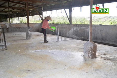 xu-ly-chuong-bang-voi-bot