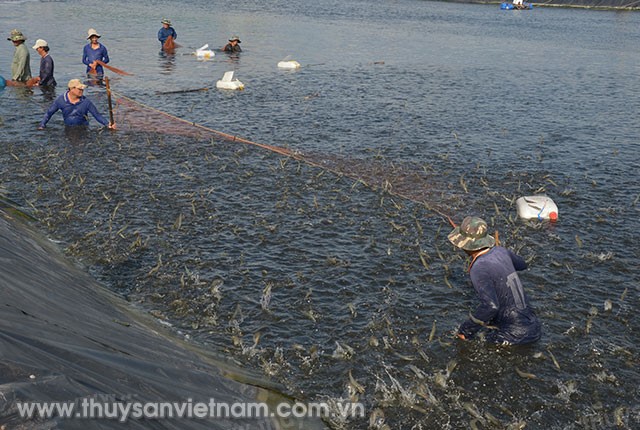 xu-ly-khi-doc-ao-tom-02