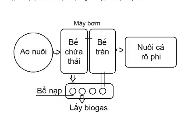 xu-ly-nuoc-thai-nuoi-tom-02
