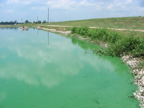 xu-ly-tao-lam-trong-ao