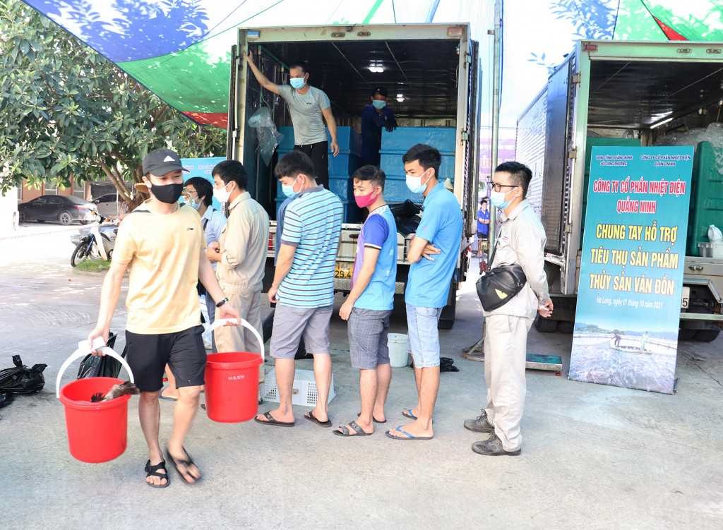 y mạnh tiêu thụ thuỷ sản 2