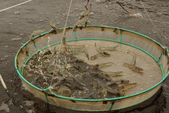 z2263734117749_0dcf44739073c15ff4144cc60b3c004f-scaled-e1643104007719