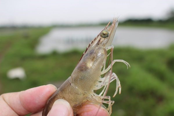 z2562433499973_bba80223364d88d0a4d99faa75fc32fc-scaled-e1643109554401