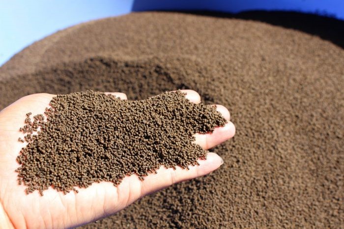 z2640832877077_519b4c5b57f0d2fcd5f748eb722a822c-scaled-e1643104398257