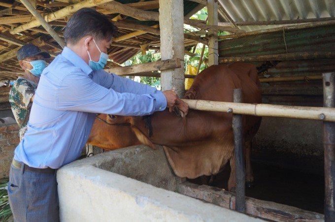 z2654178875882_cdd184b6eff1e6ca9d3cc18dc3299cc5-1144_20210802_632-192007