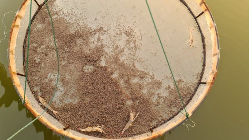 z2998389770070_3df8cd76ec712cc3133f6fb7e24a9320-e1643257440833