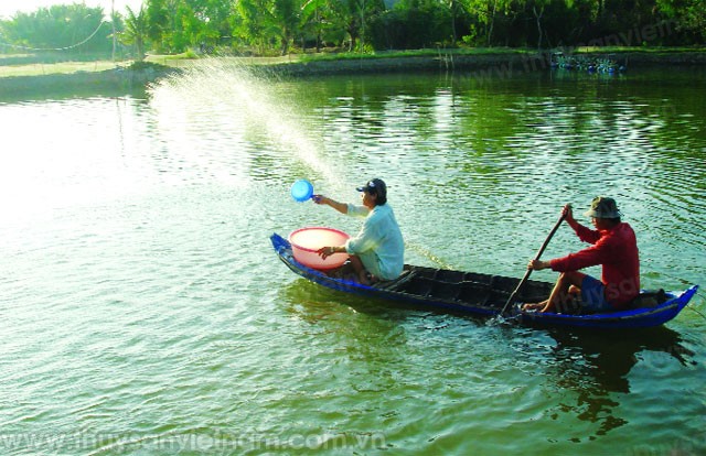 z300-Thuy-san-Viet-Nam1940-