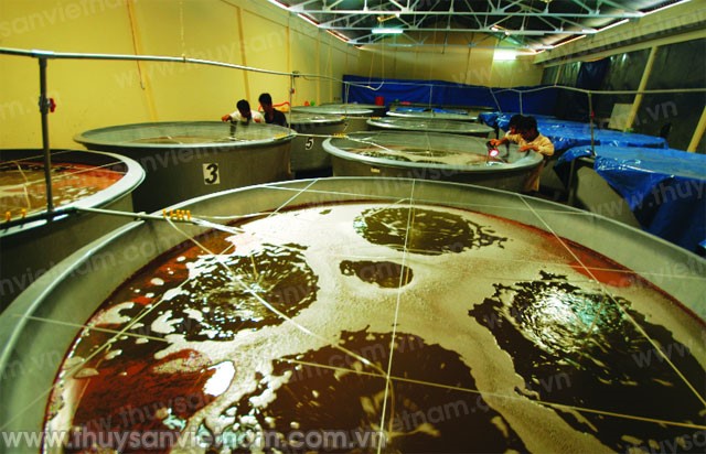 z300-Thuy-san-Viet-Nam2589-