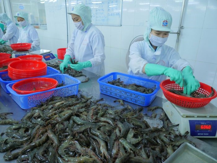 z3006636778656_72a04f52078df80602681ad361d08bc4-scaled-e1639399228301